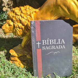 Bíblia Sagrada Rc Letra Normal Soft Touch Clássica Slim