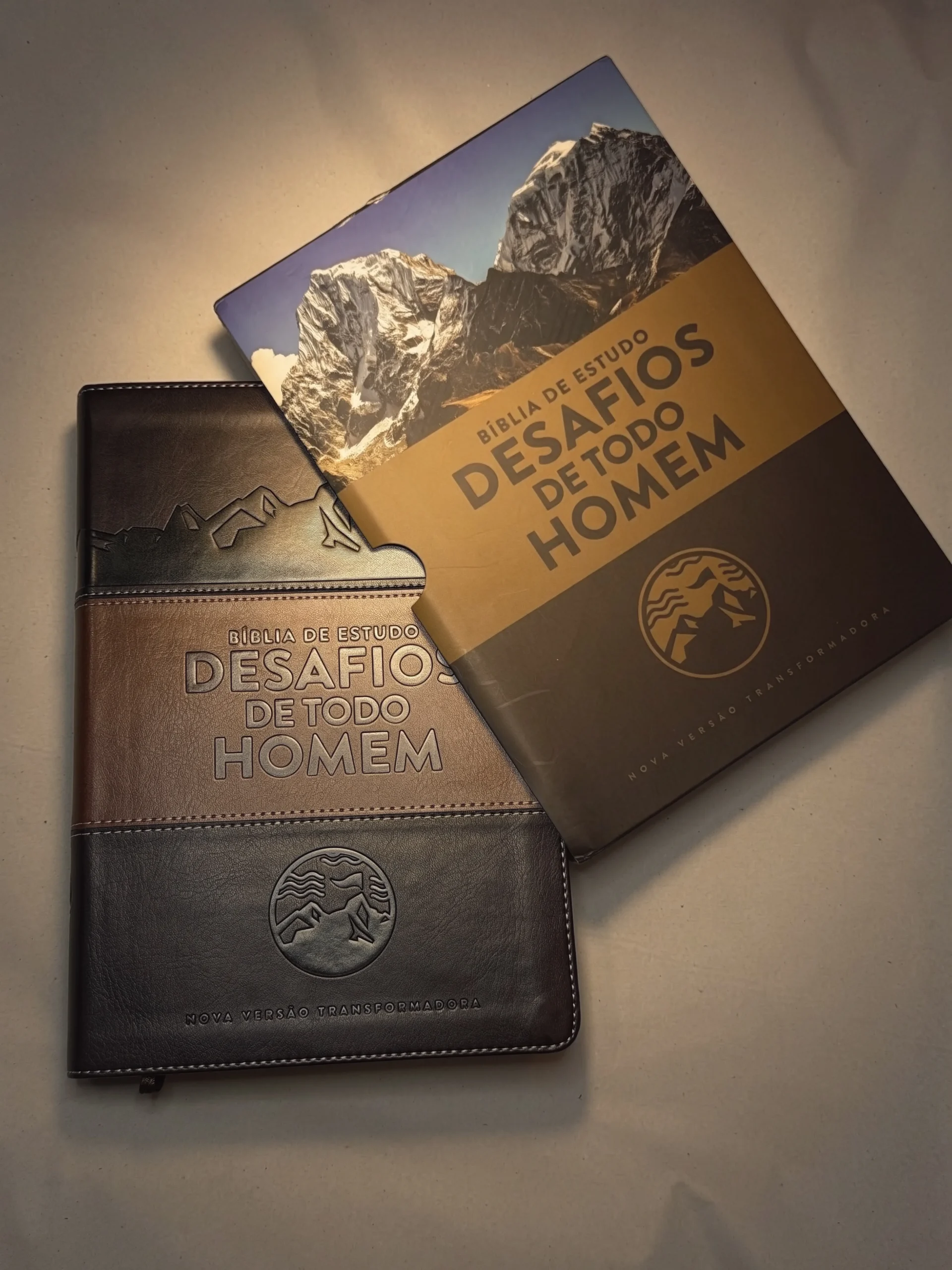Biblia de Estudo Desafios de Todo Homem Nvt Marrom