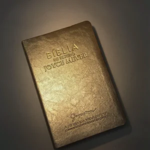 Biblia de Estudo NVI Joyce Meyer Letra Grande Dourda