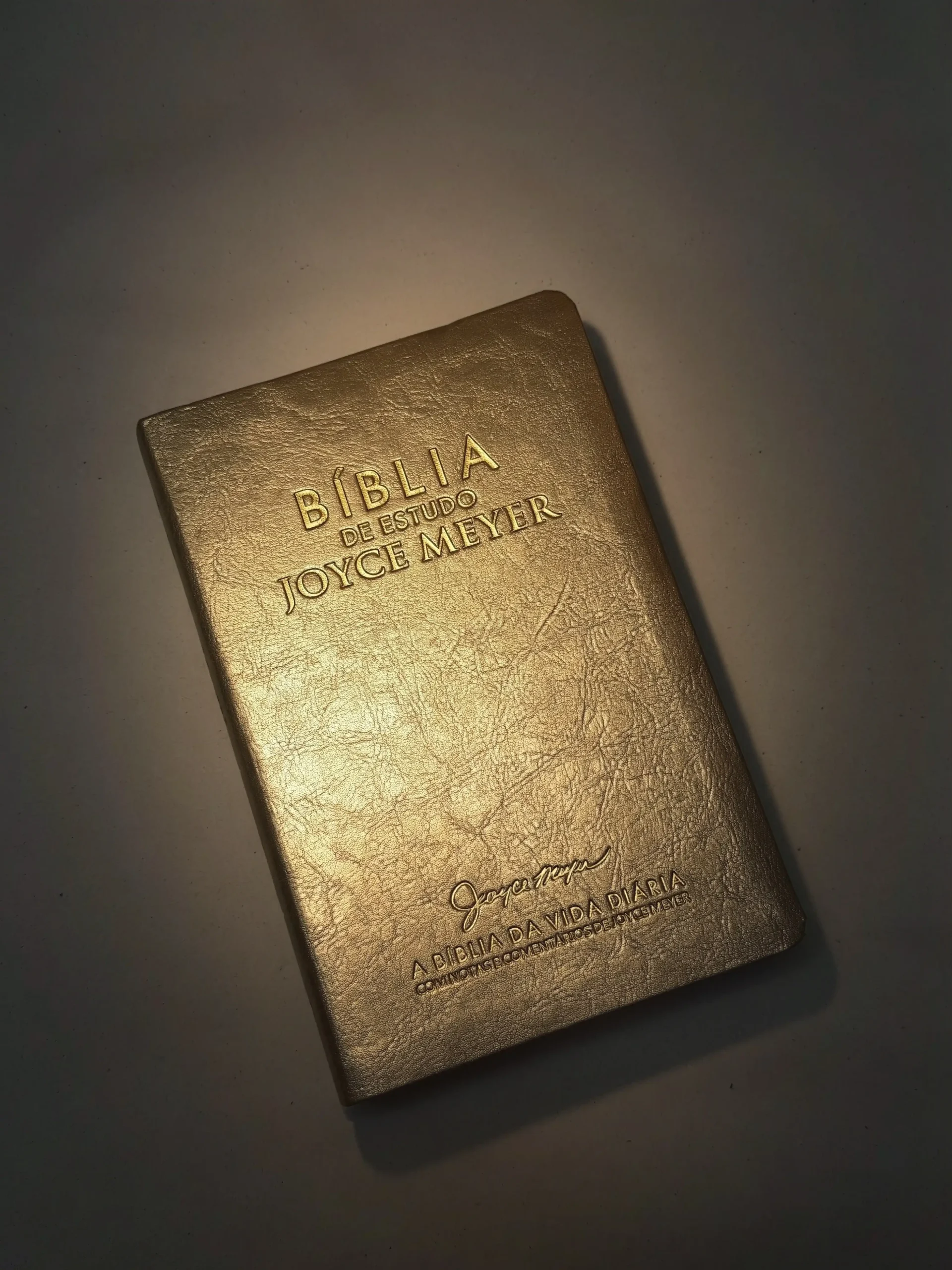 Biblia de Estudo NVI Joyce Meyer Letra Grande Dourda