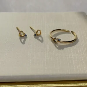 Conjunto Anel Regulavel e brinco